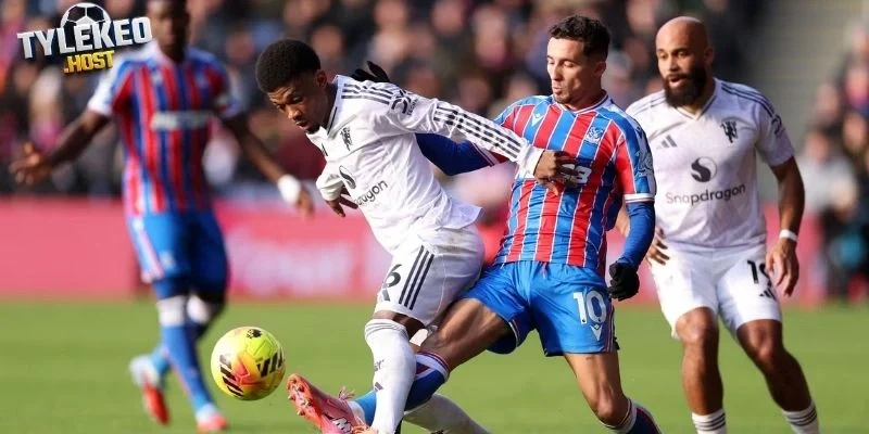 Dấu ấn thi đấu của Manchester United vs Crystal Palace