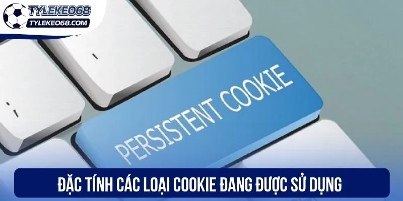 Đặc tính các loại cookie đang được sử dụng