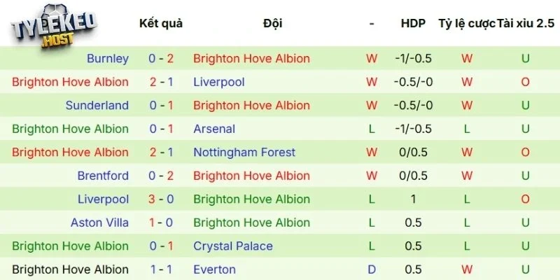 Kết quả thi đấu của Brighton 