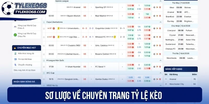 Sơ lược về chuyên trang tỷ lệ kèo