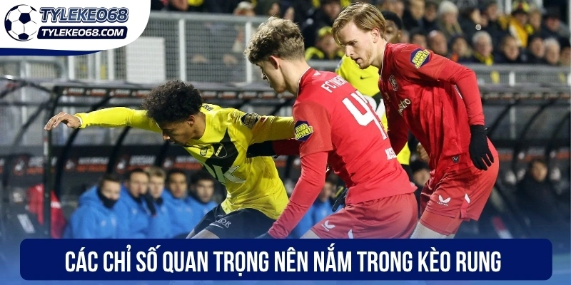 Kèo Rung - Cách Nhận Diện Biến Động Tỷ Lệ Tại Nhà Cái 2 Chuyển đến nội dung chínhChuyển đến thanh công cụ
Giới thiệu về WordPress
Tỷ lệ kèo 68
00 bình luận cần kiểm duyệt
Tạo mới
Rank Math SEO
Xin chào, Anh Tuấn
Tùy chọn màn hìnhHỗ trợ
Thêm Bài Viết
Dismiss this notice
Bỏ qua thông báo này
Thông báo SEO: post đã xuất bản trước đó đã được chuyển vào thùng rác. Bạn có thể chuyển hướng https://www.ivaanapparels.in.net/nha-cai-uy-tin/uk88-2/ đến một URL mới.
Bỏ qua thông báo này
Thêm tiêu đề
Kèo Rung - Cách Nhận Diện Biến Động Tỷ Lệ Tại Nhà Cái
Bỏ qua để biên tập
Đường dẫn tĩnh: https://tylekeo68.com/keo-rung/ Chỉnh sửa
Thêm MediaTrực quanMã
Đoạn
p » i » span
Số từ: 1115 Bản nháp được lưu lúc 17:29:54.
Di chuyển lênDi chuyển xuốngChuyển đổi bảng điều khiển: Chọn Giải Đấu
-- Chọn giải đấu --
Di chuyển lênDi chuyển xuốngChuyển đổi bảng điều khiển: Xuất bản
Xem trước(mở trong cửa sổ mới)
Trạng thái: Bản nháp Chỉnh sửaChỉnh sửa trạng thái
Hiển thị: Công khai Chỉnh sửaChỉnh sửa độ rõ nét
Xuất bản ngay lập tức Chỉnh sửaChỉnh sửa ngày tháng và thời gian
Lock Modified Date
SEO: 83 / 100
Bỏ vào thùng rác
Di chuyển lênDi chuyển xuốngChuyển đổi bảng điều khiển: Danh mục
Tất cả danh mục Dùng nhiều nhất
Cẩm Nang Soi Kèo
Top Nhà Cái
Uncategorized
+ Thêm Danh Mục
Di chuyển lênDi chuyển xuốngChuyển đổi bảng điều khiển: Ảnh đại diện
Đặt ảnh đại diện
Di chuyển lênDi chuyển xuốngChuyển đổi bảng điều khiển: Content AI
Di chuyển lênDi chuyển xuốngChuyển đổi bảng điều khiển: Thẻ
Di chuyển lênDi chuyển xuốngChuyển đổi bảng điều khiển: Đề xuất Liên kết
Chúng tôi không thể hiển thị bất kỳ đề xuất liên kết nào cho bài viết này. Hãy thử chọn danh mục và thẻ cho bài viết này và đánh dấu các bài viết khác là nội dung cốt lõi để chúng hiển thị ở đây.
Di chuyển lênDi chuyển xuốngChuyển đổi bảng điều khiển: Rank Math SEO
Tổng quan
Nâng cao
Schema
Mạng xã hội
https://tylekeo68.com/keo-rung/
Kèo Rung - Cách Nhận Diện Biến Động Tỷ Lệ Tại Nhà Cái -...
Kèo rung đòi hỏi kỹ năng đọc bảng kèo nhạy bén từ anh em giúp xác định thời điểm vàng vào tiền hợp nhằm tăng tỷ lệ chiến thắng khi cá cược.
Chỉnh sửa đoạn trích
Từ khóa chínhChèn các từ khóa bạn muốn xếp hạng. Cố gắng đạt 100/100 điểm để có cơ hội xếp hạng tốt hơn.
83 / 100
Lưu ý cảnh báo
Đọc ở đây để Đạt điểm 100/100
Bài viết này là nội dung cốt lõi
SEO cơ bản
Tất cả đều tốt
Tuyệt vời! Bạn đang sử dụng từ khoá chính trong Tiêu đề SEO.
Đã sử dụng từ khoá chính trong Mô tả Meta SEO.
Từ khóa chính đã được sử dụng trong URL.
Từ khoá chính xuất hiện trong 10% nội dung đầu tiên.
Đã tìm thấy từ khoá chính trong nội dung.
Nội dung dài 1126 từ. Làm tốt lắm!
Bổ sung
2 Lỗi
Khả năng đọc tiêu đề
Tất cả đều tốt
Khả năng đọc nội dung
1 Lỗi
Di chuyển lênDi chuyển xuốngChuyển đổi bảng điều khiển: Insert Script to <head>
Di chuyển lênDi chuyển xuốngChuyển đổi bảng điều khiển: Nhập video youtube
Link video:
Cảm ơn bạn đã sử dụng Rank MathPhiên bản 6.9.4
Thông báoLink inserted.
Không tìm thấy kết quả.
Đóng hộp thoại
Thêm tệp media
Hành động
Tải lên tệp mớiChọn từ thư viện Media
Mở rộng chi tiết
Lọc mediaLọc theo loại
Tất cả
Lọc theo ngày
Tất cả các ngày
Tìm tệp media
Danh sách media
Đang hiển thị 84 của 2494 file media
Tải thêm
Chi tiết tệp đính kèm
cac-chi-so-quan-trong-nen-nam-trong-keo-rung.webp
2 Tháng 5, 2026
107 KB
800 dài và rộng 400 pixel
Sửa ảnh
Xóa vĩnh viễn
WP Rocket recommends you to optimize your images for even better website performance.
Install Imagify Plugin
Văn bản thay thế
Tạo văn bản thay thế
Xem cách mô tả nội dung ảnh(mở trong cửa sổ mới). Để trống nếu ảnh chỉ dùng làm hiệu ứng trang trí.Tiêu đề
cac-chi-so-quan-trong-nen-nam-trong-keo-rung
Chú thích
Mô tả
Liên kết của tệp tin:
https://tylekeo68.com/wp-content/uploads/2026/05/cac-chi-so-quan-trong-nen-nam-trong-keo-rung.webp
Sao chép liên kết
Các trường bắt buộc được đánh dấu *
Loại trừ tệp đính kèm này khỏi sơ đồ trang web
Tùy chọn hiển thị nội dung đính kèm
Căn chỉnh
Chính giữa
Liên kết tới
Không có
Kích thước
Kích thước đầy đủ – 800 × 400
Hành động cho các media đã được chọn
đã chọn 1 item
Xóa
Chèn vào bài viết
Không có tệp nào được chọn