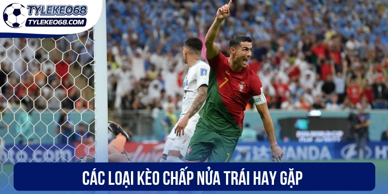 Các loại kèo chấp nửa trái hay gặp