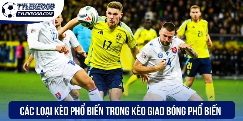Các loại kèo phổ biến trong kèo giao bóng phổ biến