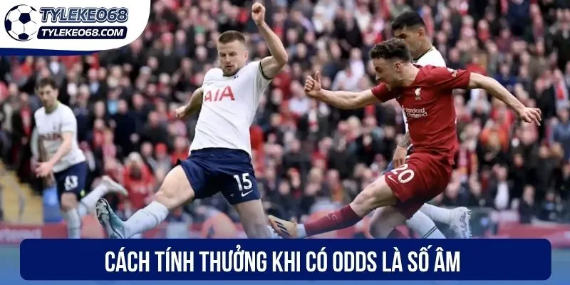 Cách tính thưởng khi có odds là số âm