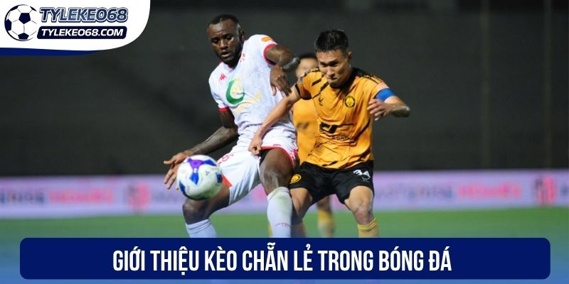 Giới thiệu kèo chẵn lẻ trong bóng đá