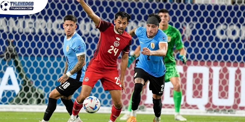 Tỷ Lệ Kèo Canada Vs Bosnia và Herzegovina - Bảng B World Cup 02h00 13/06/2026 3 Đội hình trận Canada vs Bosnia và Herzegovina