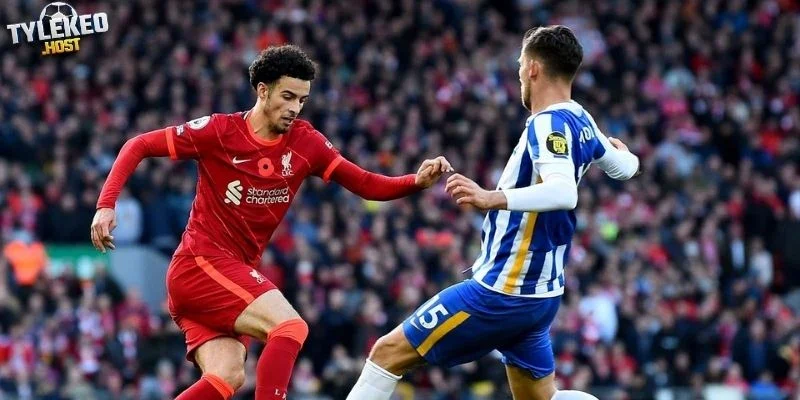 Liverpool tiếp Brighton ở vòng 8