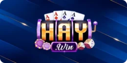 haywin-sport